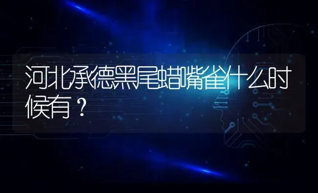 河北承德黑尾蜡嘴雀什么时候有？ | 动物养殖问答