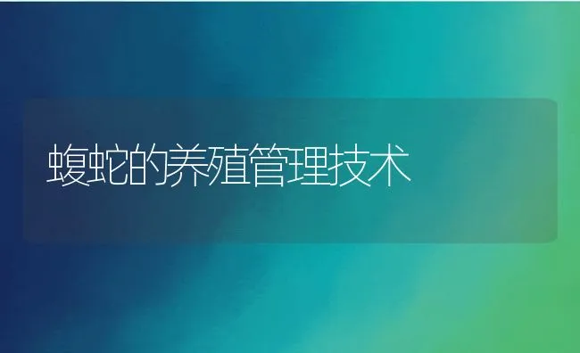 獭兔常见20种疾病 | 水产养殖知识