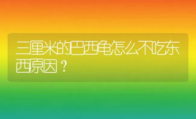 三厘米的巴西龟怎么不吃东西原因？ | 动物养殖问答