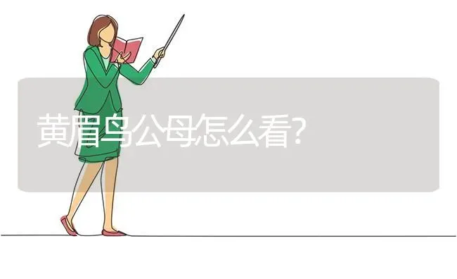 养泰迪狗新手需要准备什么？ | 动物养殖问答