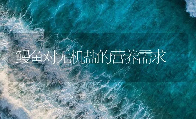 鳗鱼对无机盐的营养需求 | 海水养殖技术