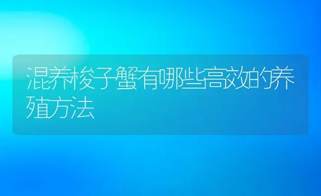 混养梭子蟹有哪些高效的养殖方法 | 动物养殖百科