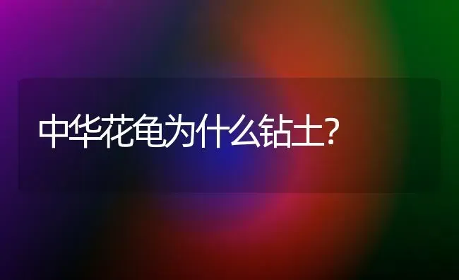 中华花龟为什么钻土？ | 动物养殖问答