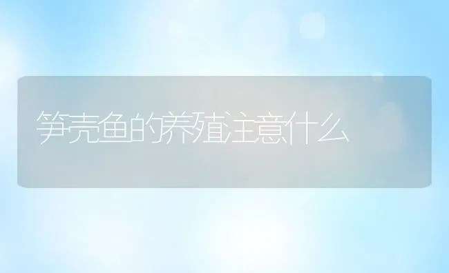 笋壳鱼的养殖注意什么 | 动物养殖百科