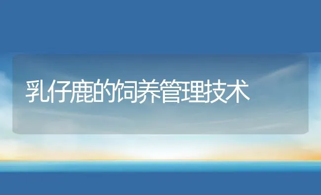 乳仔鹿的饲养管理技术 | 动物养殖饲料