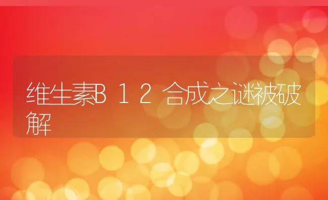 维生素B12合成之谜被破解 | 动物养殖饲料