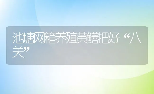 池塘网箱养殖黄鳝把好“八关” | 动物养殖饲料