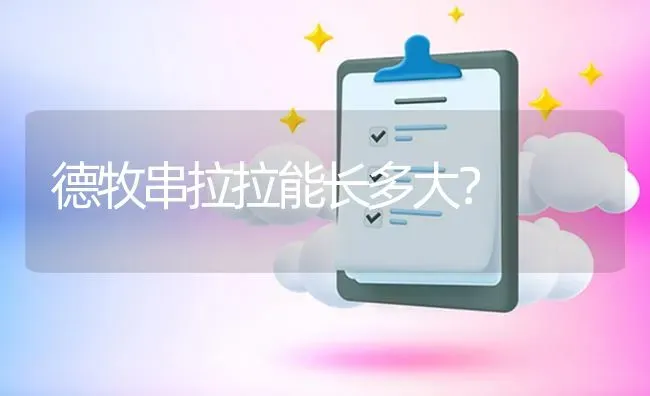 杜宾犬寿命，杜宾犬的寿命为10到14年？ | 动物养殖问答