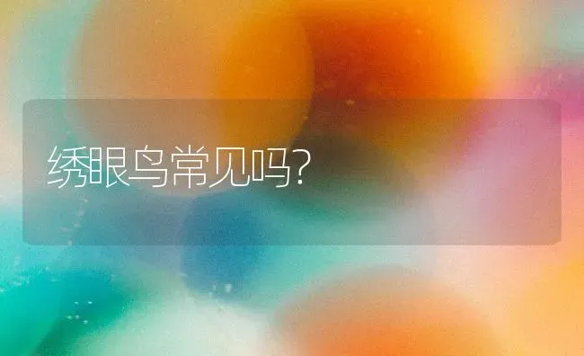 绣眼鸟常见吗？ | 动物养殖问答