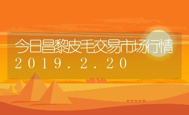 今日昌黎皮毛交易市场行情2019.2.20 | 动物养殖百科