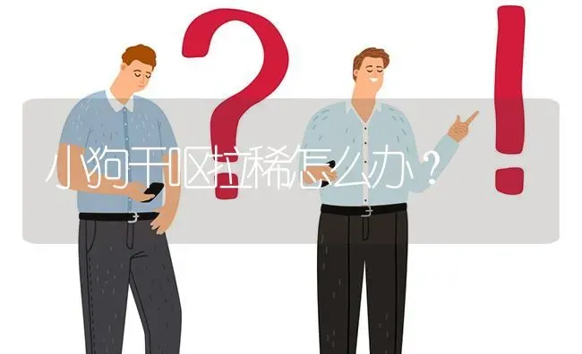 小狗干呕拉稀怎么办？ | 动物养殖问答