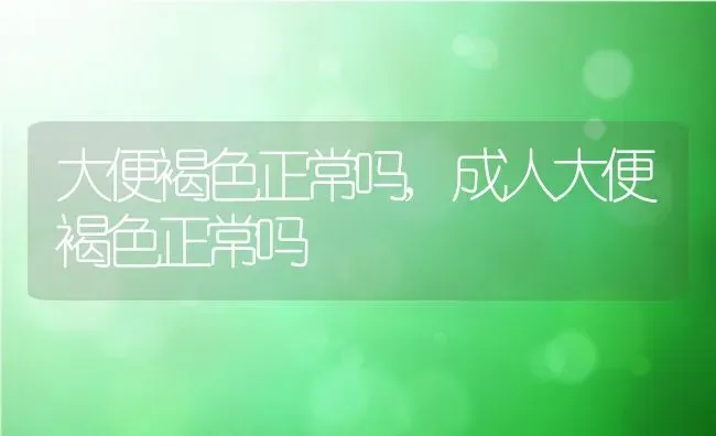 大便褐色正常吗,成人大便褐色正常吗 | 宠物百科知识