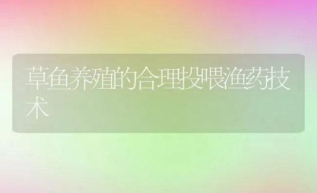 草鱼养殖的合理投喂渔药技术 | 动物养殖教程