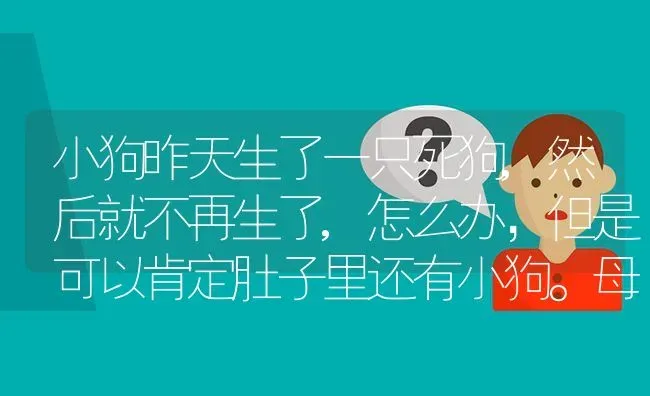 小狗昨天生了一只死狗,然后就不再生了,怎么办，但是可以肯定肚子里还有小狗。母狗的精神很好。这种情？ | 动物养殖问答