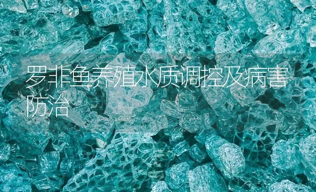 罗非鱼养殖水质调控及病害防治 | 海水养殖技术