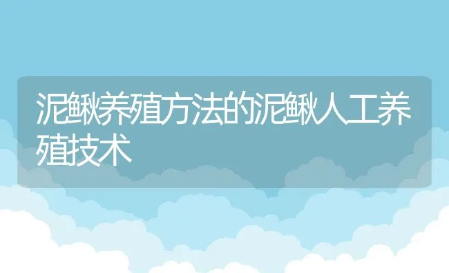 泥鳅养殖方法的泥鳅人工养殖技术 | 水产养殖知识