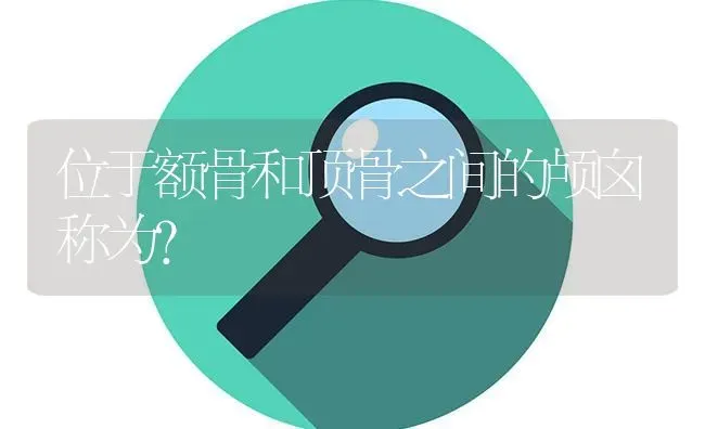 位于额骨和顶骨之间的颅囟称为？ | 鱼类宠物饲养