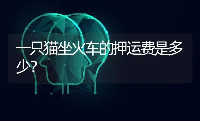 一只猫坐火车的押运费是多少？ | 动物养殖问答