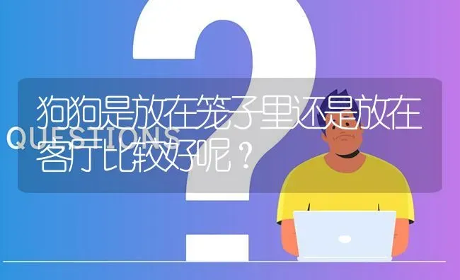 狗狗是放在笼子里还是放在客厅比较好呢？ | 动物养殖问答