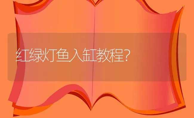 红绿灯鱼入缸教程？ | 鱼类宠物饲养