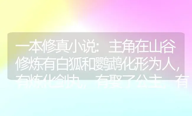 一本修真小说:主角在山谷修炼有白狐和鹦鹉化形为人，有炼化剑丸，有娶了公主，有皇宫除魔？ | 动物养殖问答