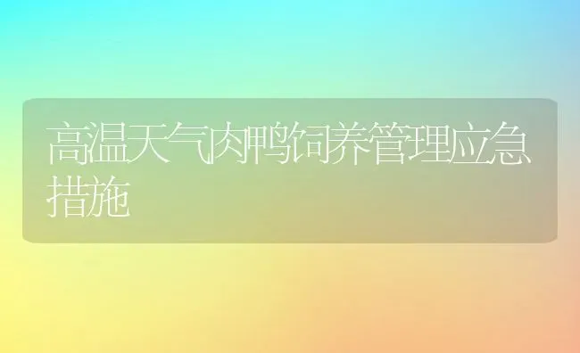 高温天气肉鸭饲养管理应急措施 | 动物养殖教程