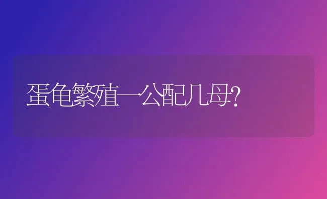 蛋龟繁殖一公配几母？ | 动物养殖问答