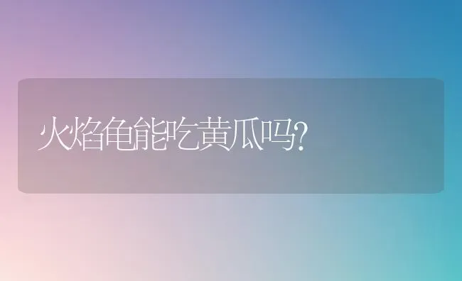 火焰龟能吃黄瓜吗？ | 动物养殖问答