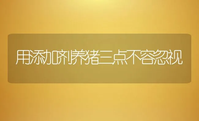 用添加剂养猪三点不容忽视 | 动物养殖学堂
