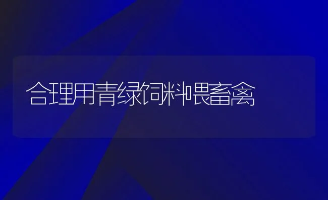 合理用青绿饲料喂畜禽 | 动物养殖饲料