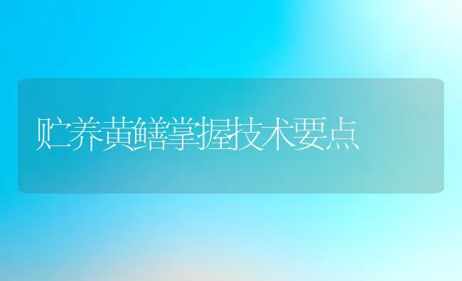 贮养黄鳝掌握技术要点 | 动物养殖饲料