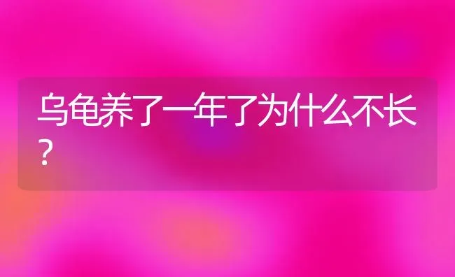 乌龟养了一年了为什么不长？ | 动物养殖问答