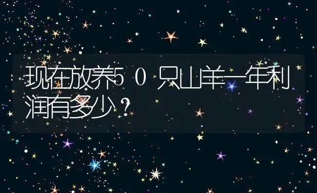 现在放养50只山羊一年利润有多少？ | 动物养殖百科