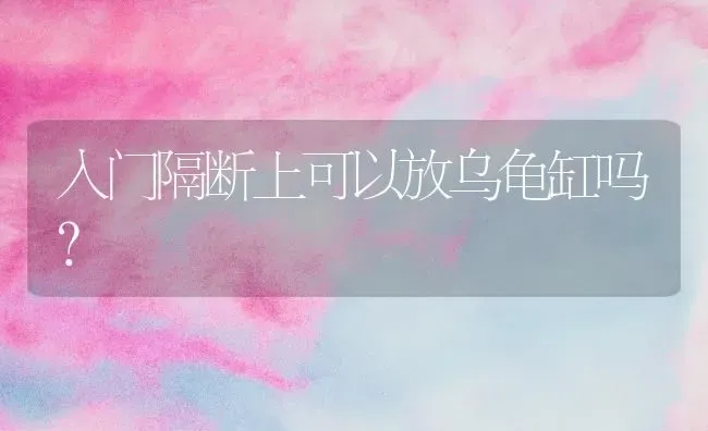 土狗、比熊、泰迪哪个比较温顺不会叫，好养的呀？ | 动物养殖问答