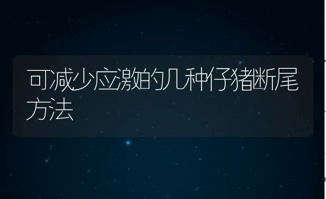 可减少应激的几种仔猪断尾方法 | 动物养殖饲料