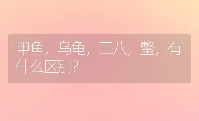 甲鱼，乌龟，王八，鳖，有什么区别？ | 动物养殖问答