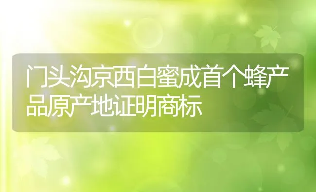 门头沟京西白蜜成首个蜂产品原产地证明商标 | 水产养殖知识