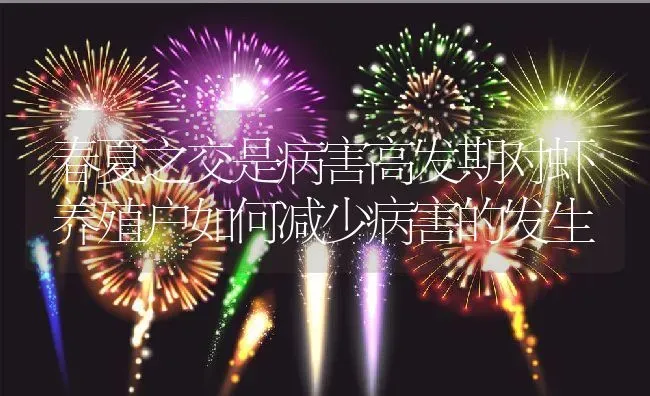 春夏之交是病害高发期对虾养殖户如何减少病害的发生 | 动物养殖教程