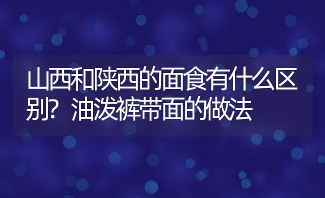 山西和陕西的面食有什么区别?油泼裤带面的做法 | 动物养殖百科