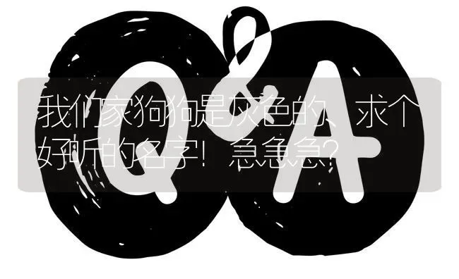 我们家狗狗是灰色的、求个好听的名字！急急急？ | 动物养殖问答