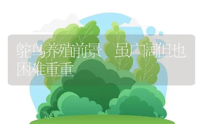 鸵鸟养殖前景 虽广阔但也困难重重 | 动物养殖百科