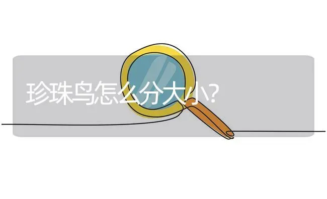 珍珠鸟怎么分大小？ | 鱼类宠物饲养