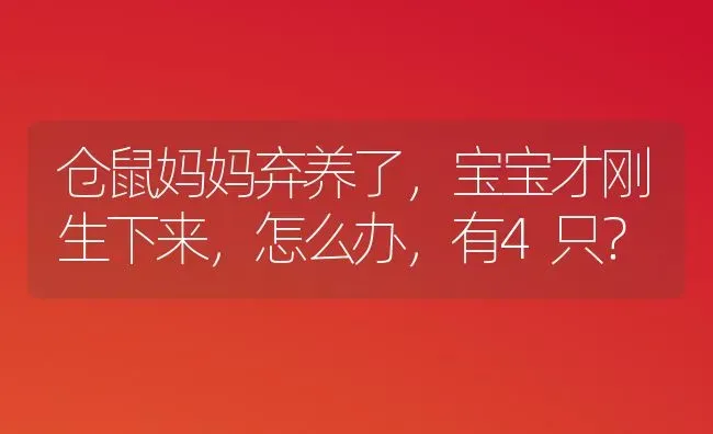 仓鼠妈妈弃养了，宝宝才刚生下来，怎么办，有4只？ | 动物养殖问答