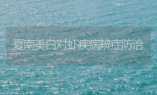 夏南美白对虾疾病辨症防治 | 海水养殖技术