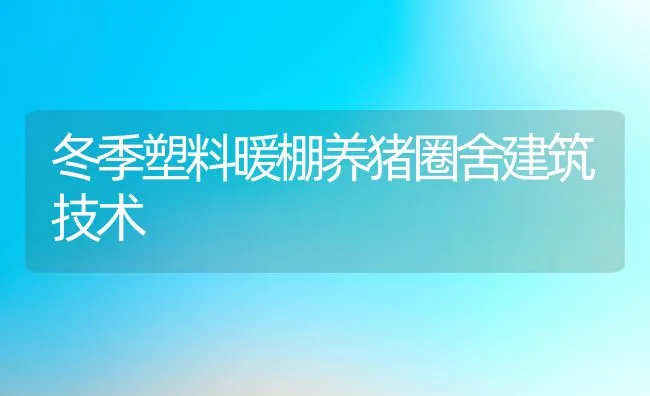 冬季塑料暖棚养猪圈舍建筑技术 | 动物养殖饲料