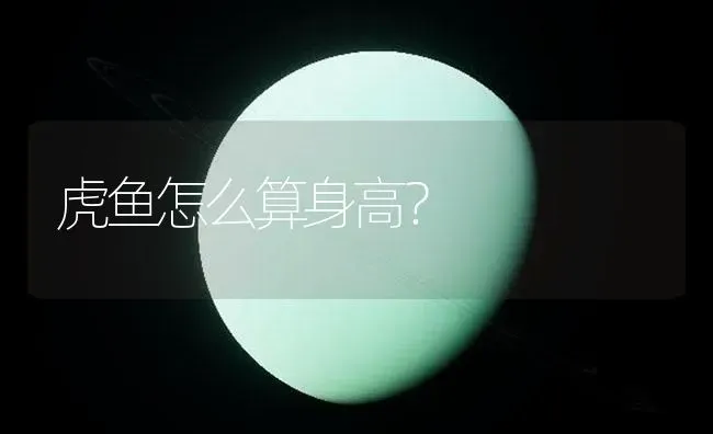 虎鱼怎么算身高？ | 鱼类宠物饲养