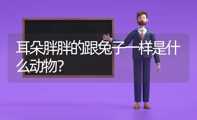 狗狗得细小死后多久可以养新狗狗？ | 动物养殖问答