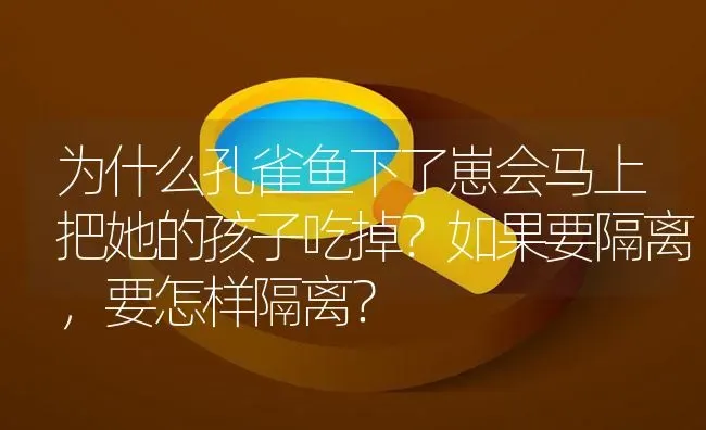 为什么孔雀鱼下了崽会马上把她的孩子吃掉？如果要隔离，要怎样隔离？ | 鱼类宠物饲养