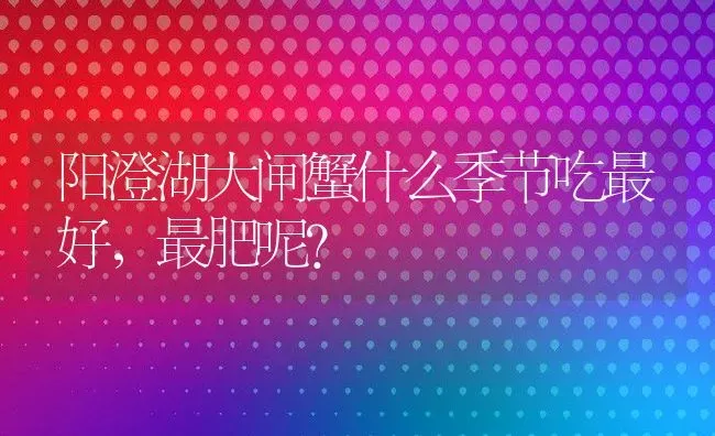 阳澄湖大闸蟹什么季节吃最好，最肥呢？ | 动物养殖百科