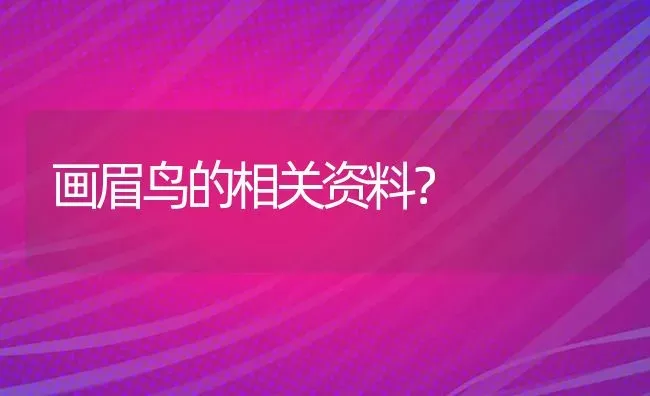 画眉鸟的相关资料？ | 动物养殖问答